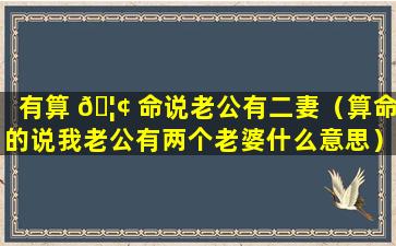 有算 🦢 命说老公有二妻（算命的说我老公有两个老婆什么意思）